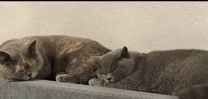 Boxed Up tweet media