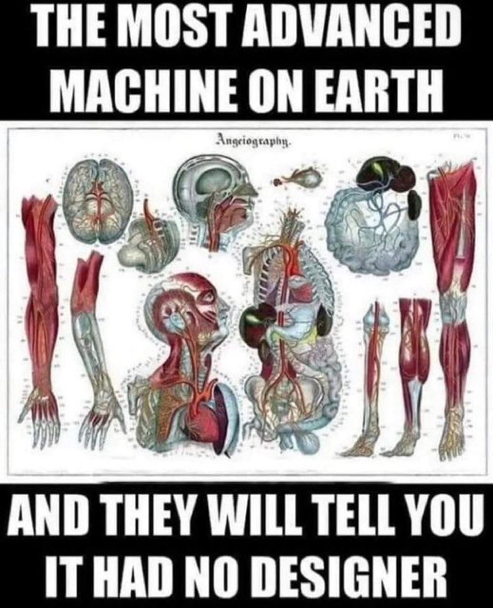 World Uncovered tweet media