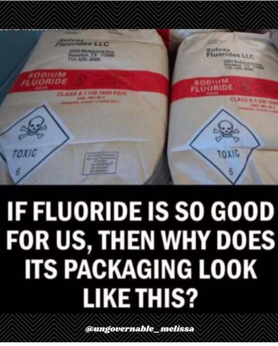 chicklet (@c25216702c) on Twitter photo 