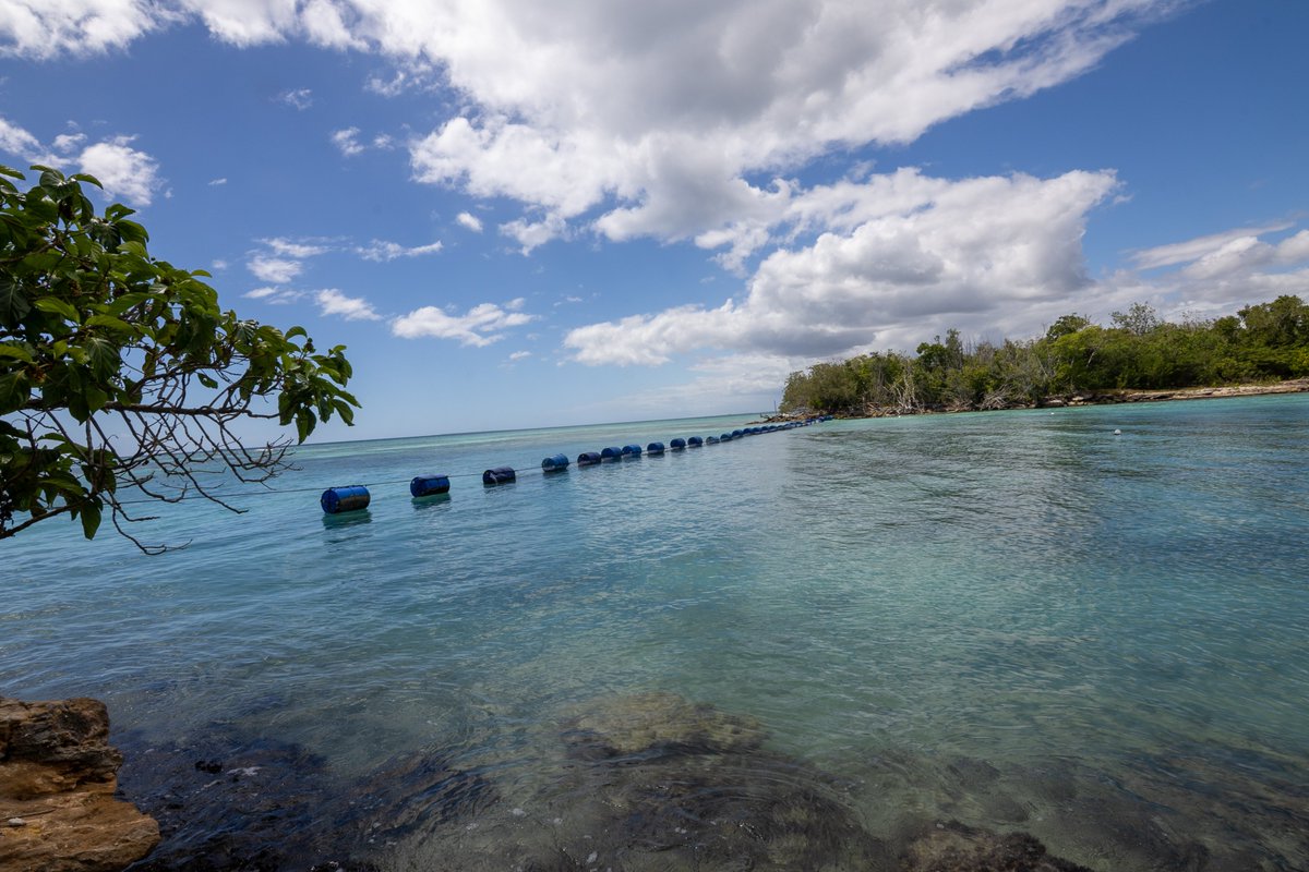Ministerio de Medio Ambiente RD tweet media