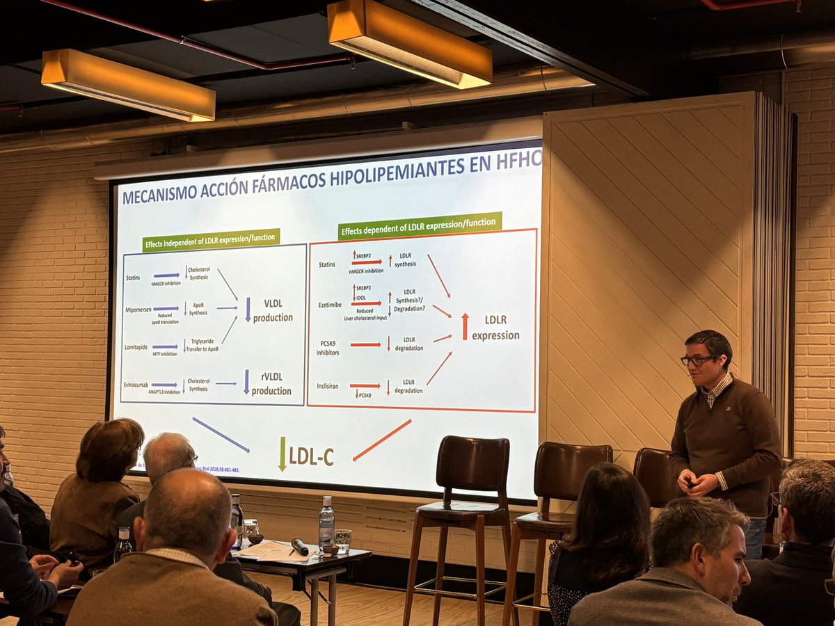 FHFamiliar's tweet photo. Eficacia de los nuevos tratamientos solos y combinados en el control de la #HF #homocigota por el Dr. Sergio Martínez Hervás, del @GVAclinic
#SymposiumHF #DescubreTuHF #HFHo #SAFEHEART #colesterol #corazon #salud #cardiovascular https://t.co/k3xu51cuAc