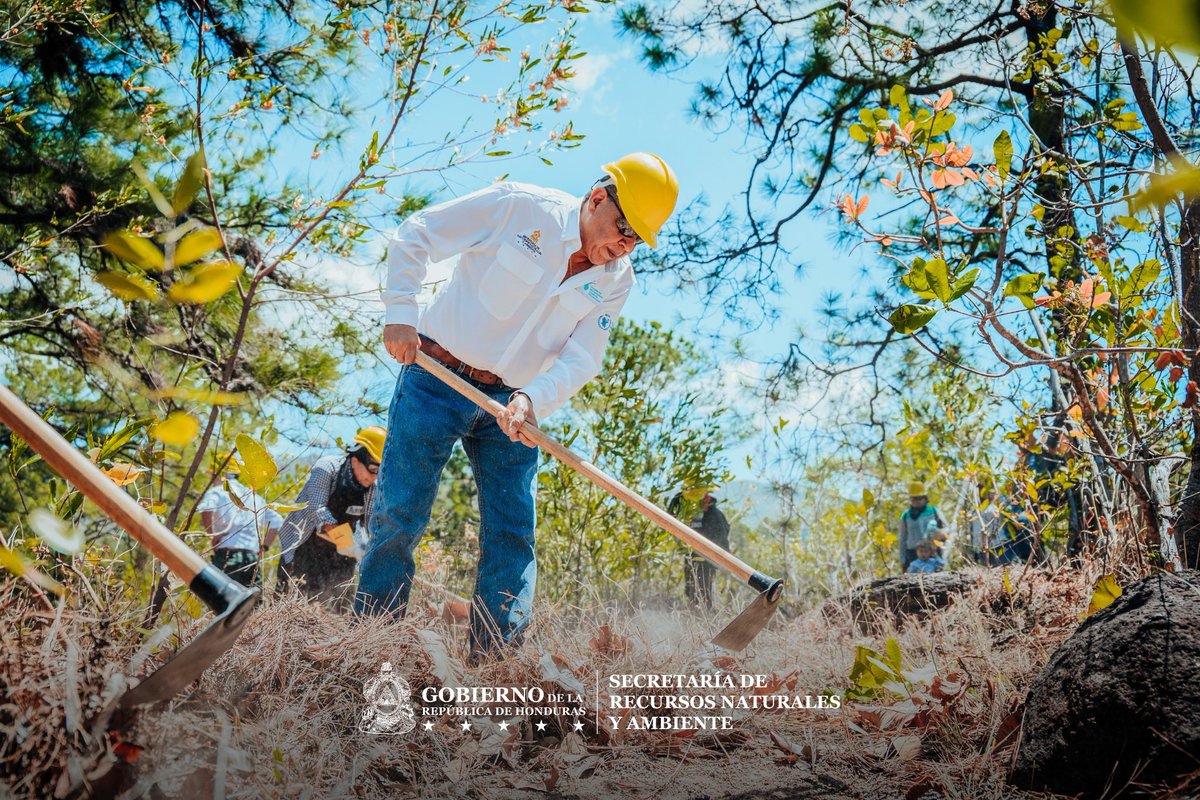 Secretaría de Recursos Naturales y Ambiente tweet media