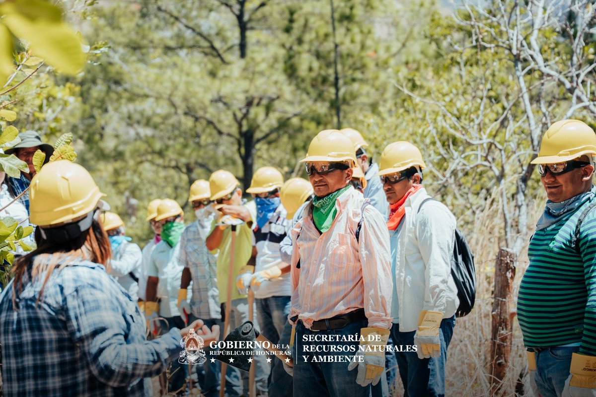Secretaría de Recursos Naturales y Ambiente tweet media