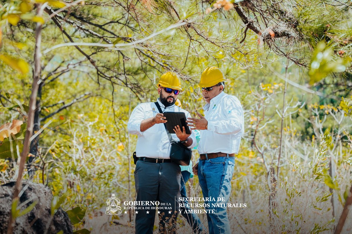 Secretaría de Recursos Naturales y Ambiente tweet media