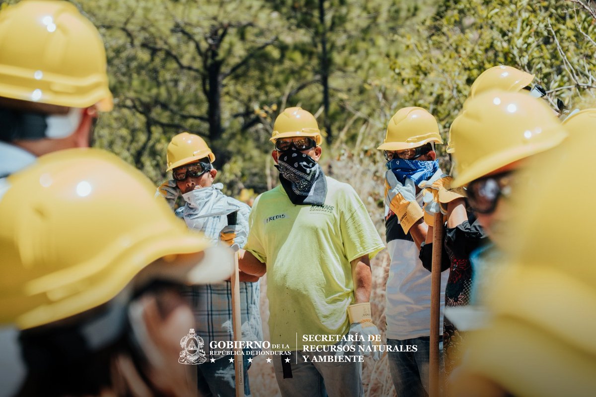 Secretaría de Recursos Naturales y Ambiente tweet media