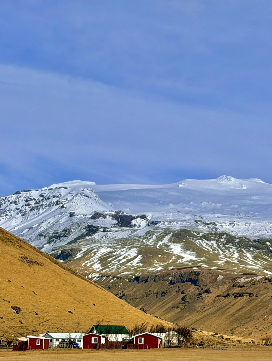 Dominic Manning tweet media