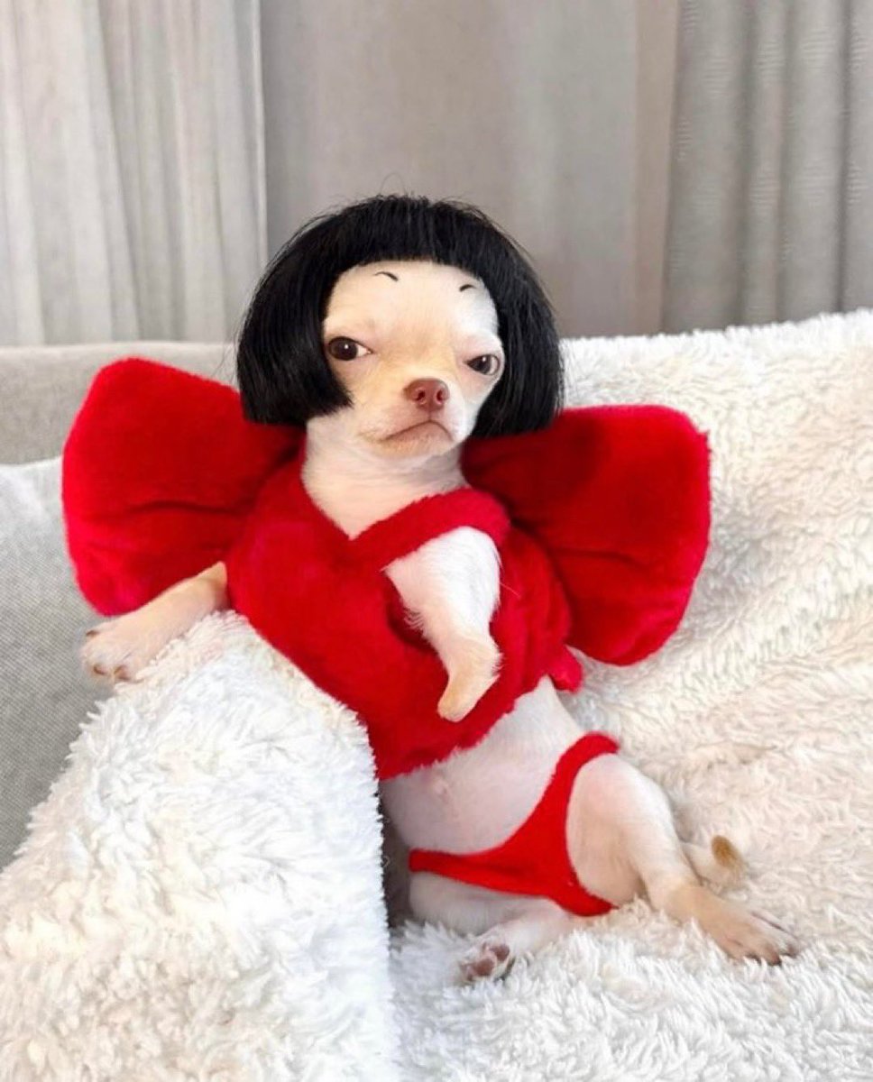 هـبـة النـائـب HIBA Alnnayib tweet media