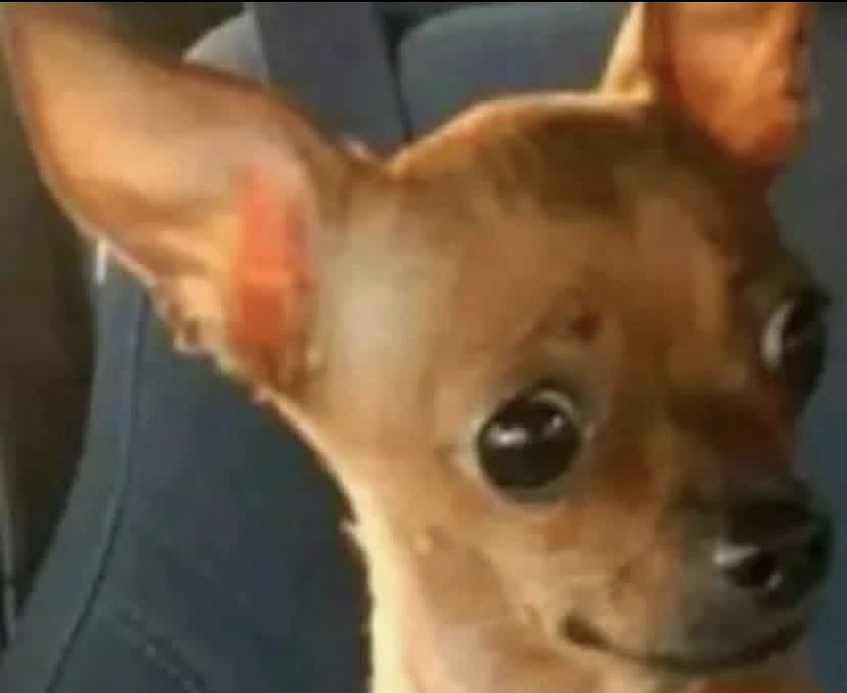 your mom The final boss tweet media