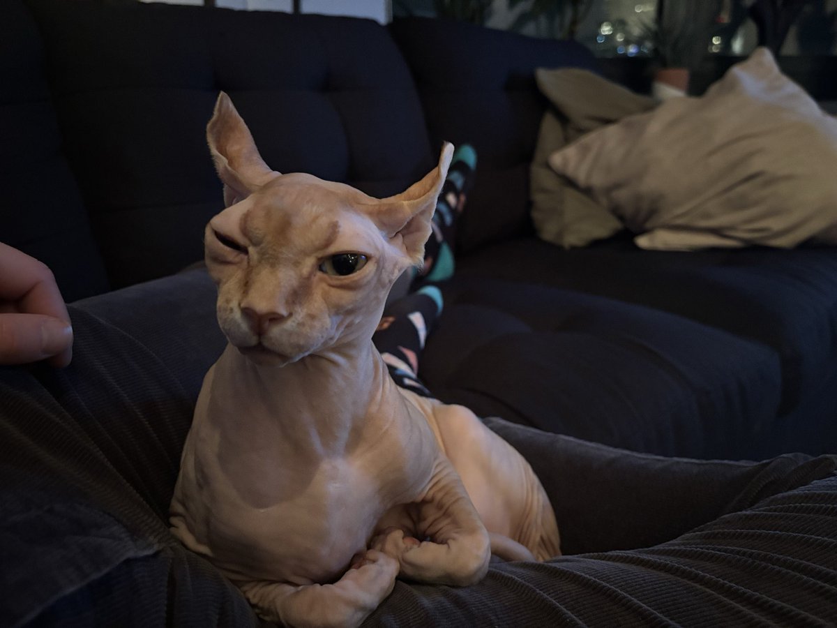 Andy Herren tweet media