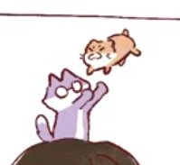 with comfort plushie chandalee vs with real chandalee