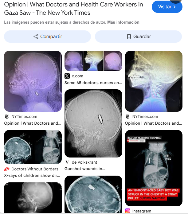 max palla tweet media