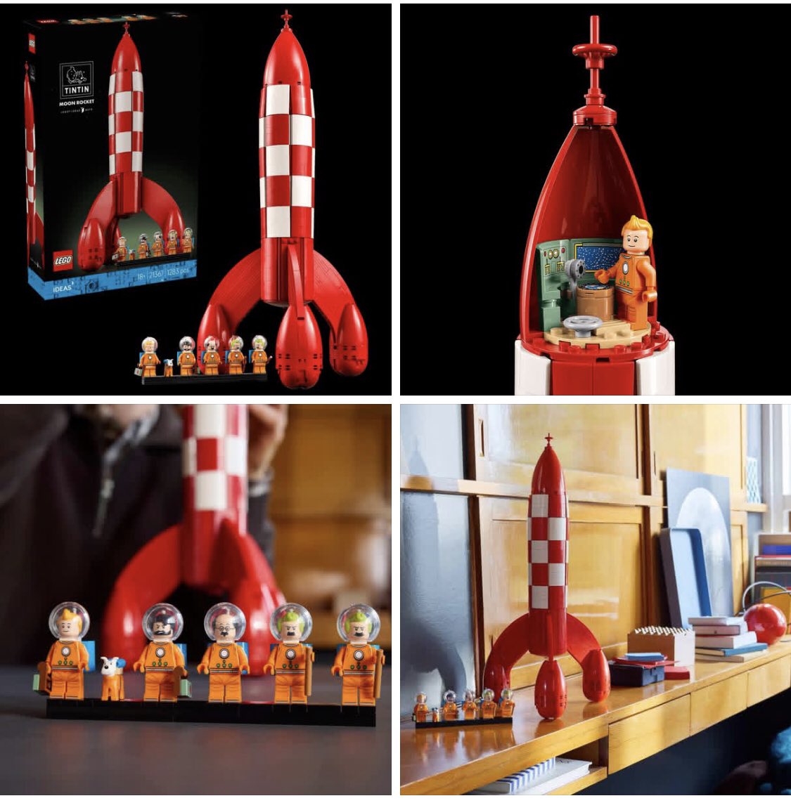 1001 cat tintinaires tweet media