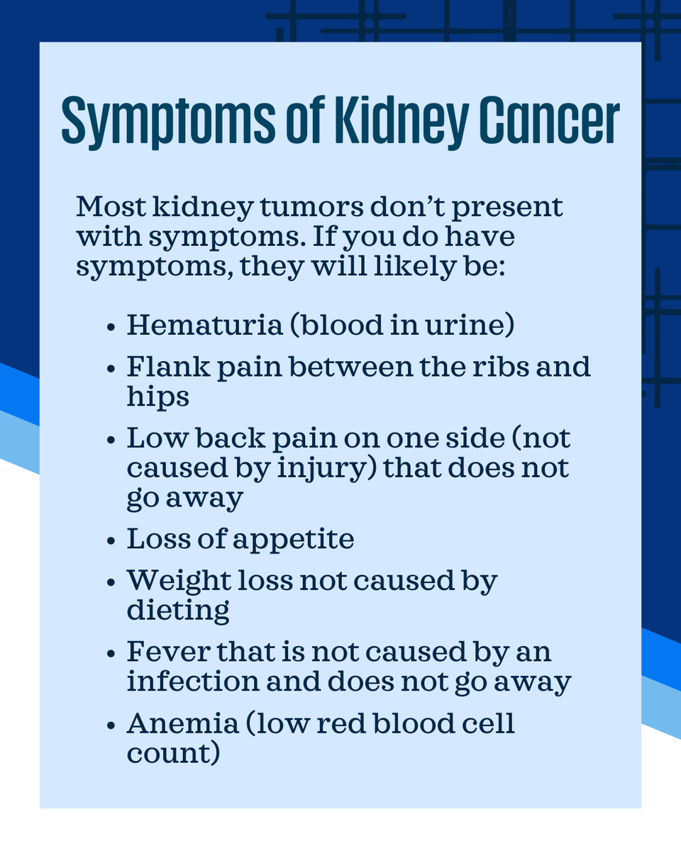 KidneyCAN tweet media