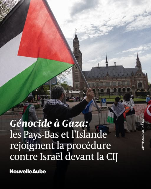 La  Cour internationale de Justice (CIJ) a annoncé que les Pays-Bas et l'Islande ont déposé des déclarations d'intervention dans la procédure  engagée par l'Afrique du Sud contre Israël, au titre de la Convention pour la prévention et la répression du crime de génocide de 1948.