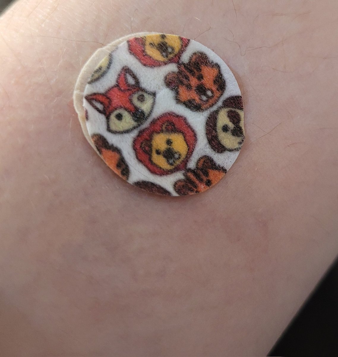 ねこ使い✨️🐈 tweet media