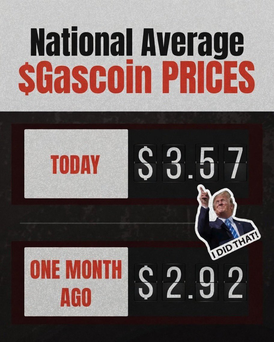 Trench Dog 1st division tweet media