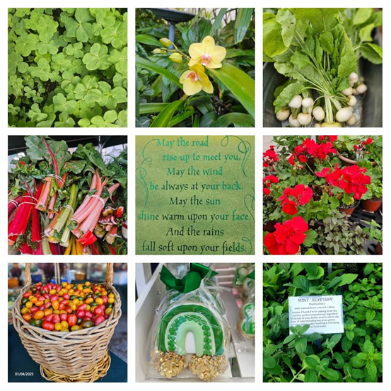 Delray Beach CRA tweet media