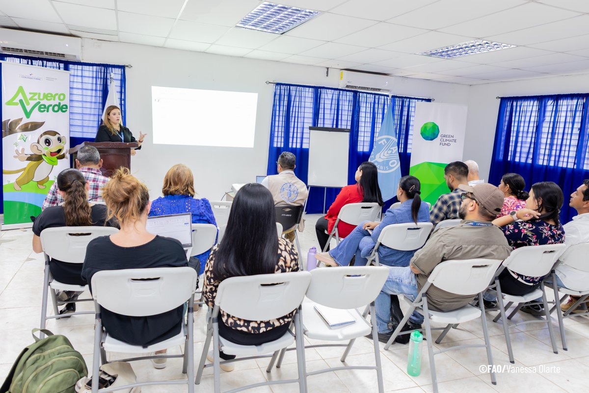 FAOMesoamerica's tweet photo. Durante la sesión se presentaron avances del proyecto, el Plan Operativo Anual 2026 y las actividades habilitantes en curso, orientadas a fortalecer la adaptación al cambio climático mediante el Programa de Adaptación basada en Ecosistemas.

🤝#ManodelaMano https://t.co/BEVrLEW2hZ