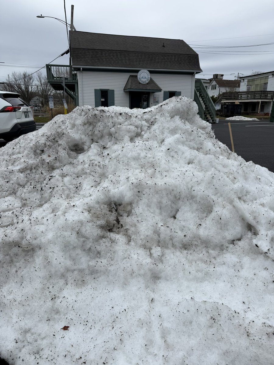 Bill Walsh tweet media