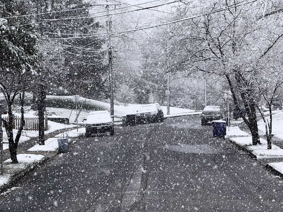 Tommy Horn tweet media