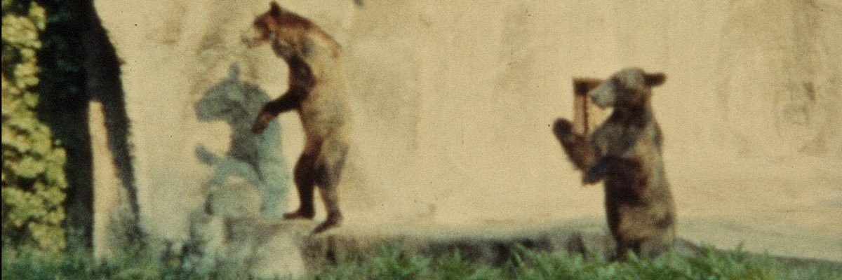 Fata Morgana Web tweet media