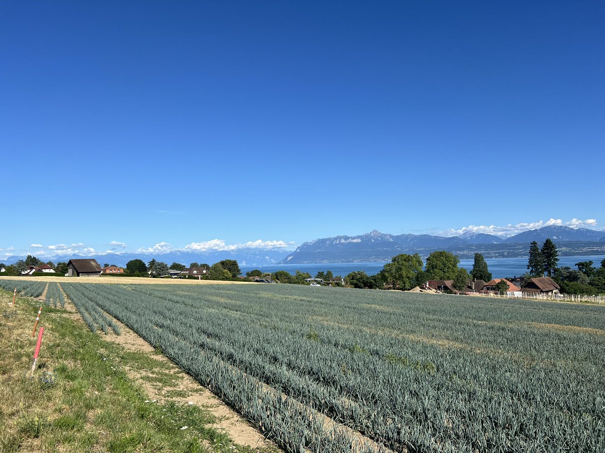 Iroquois Pliskin ☦︎ tweet media