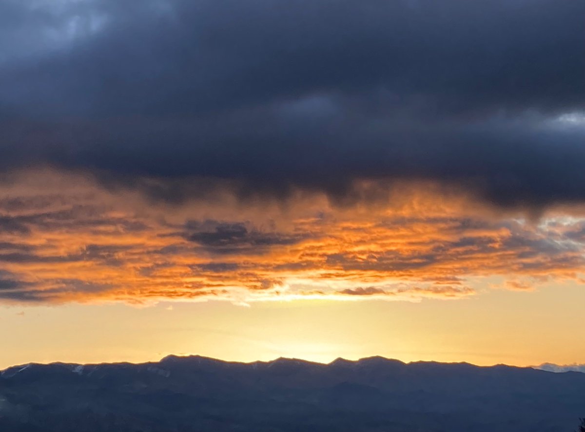 Suzanne Murray tweet media