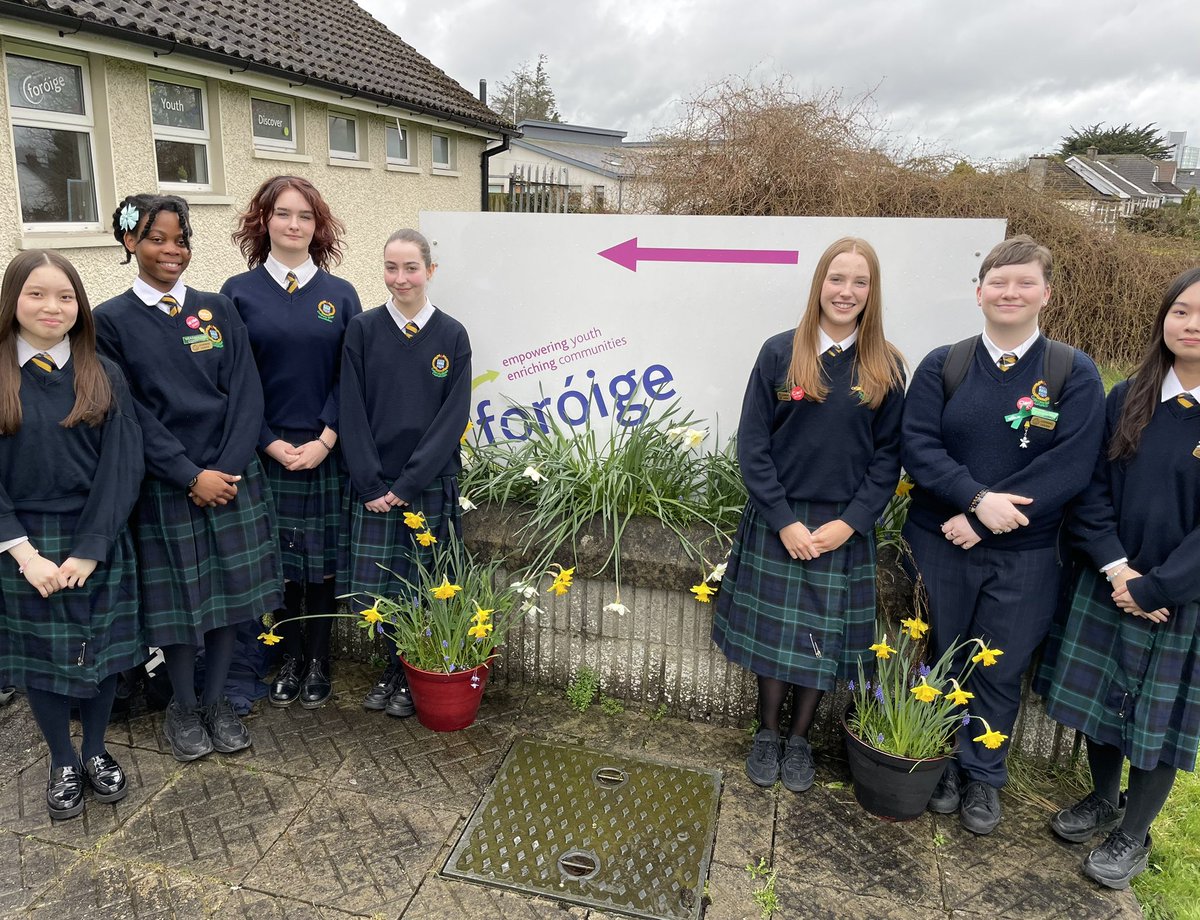 C.Cuttle tweet media