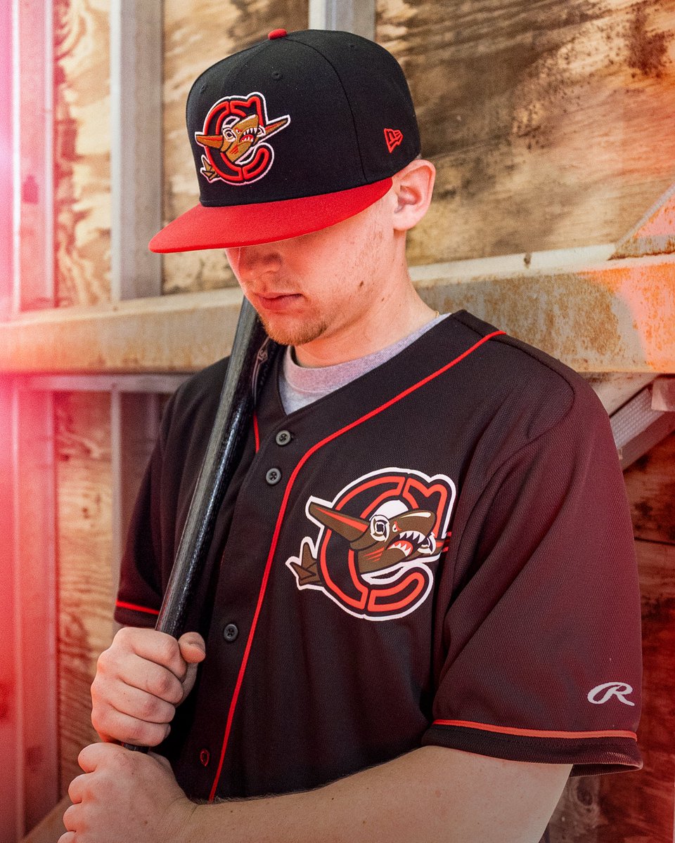 Columbia Fireflies tweet media