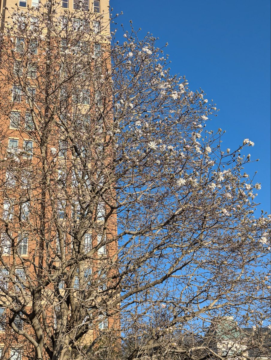 RestonDad☮️🇺🇦🇮🇪🇺🇸 tweet media