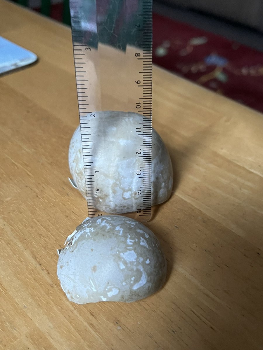 Glen Maddison tweet media