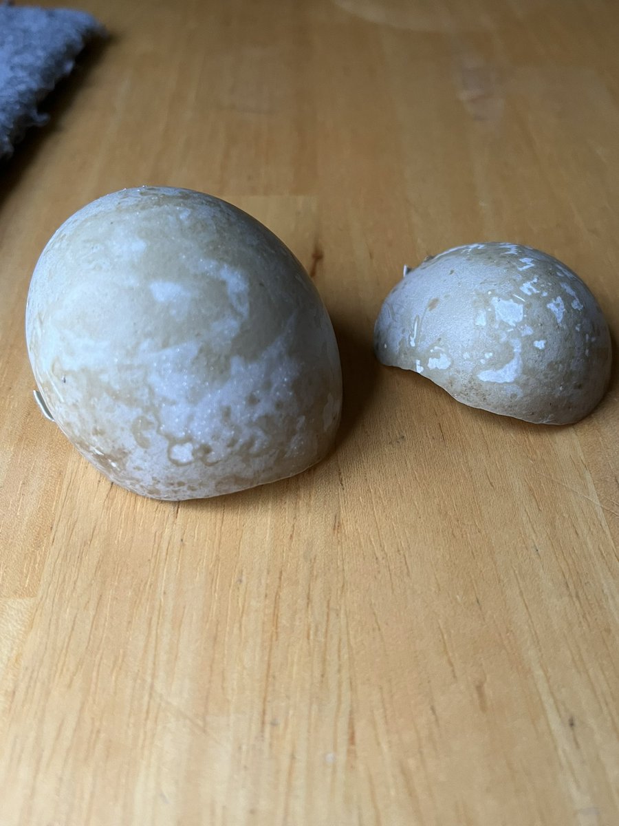 Glen Maddison tweet media