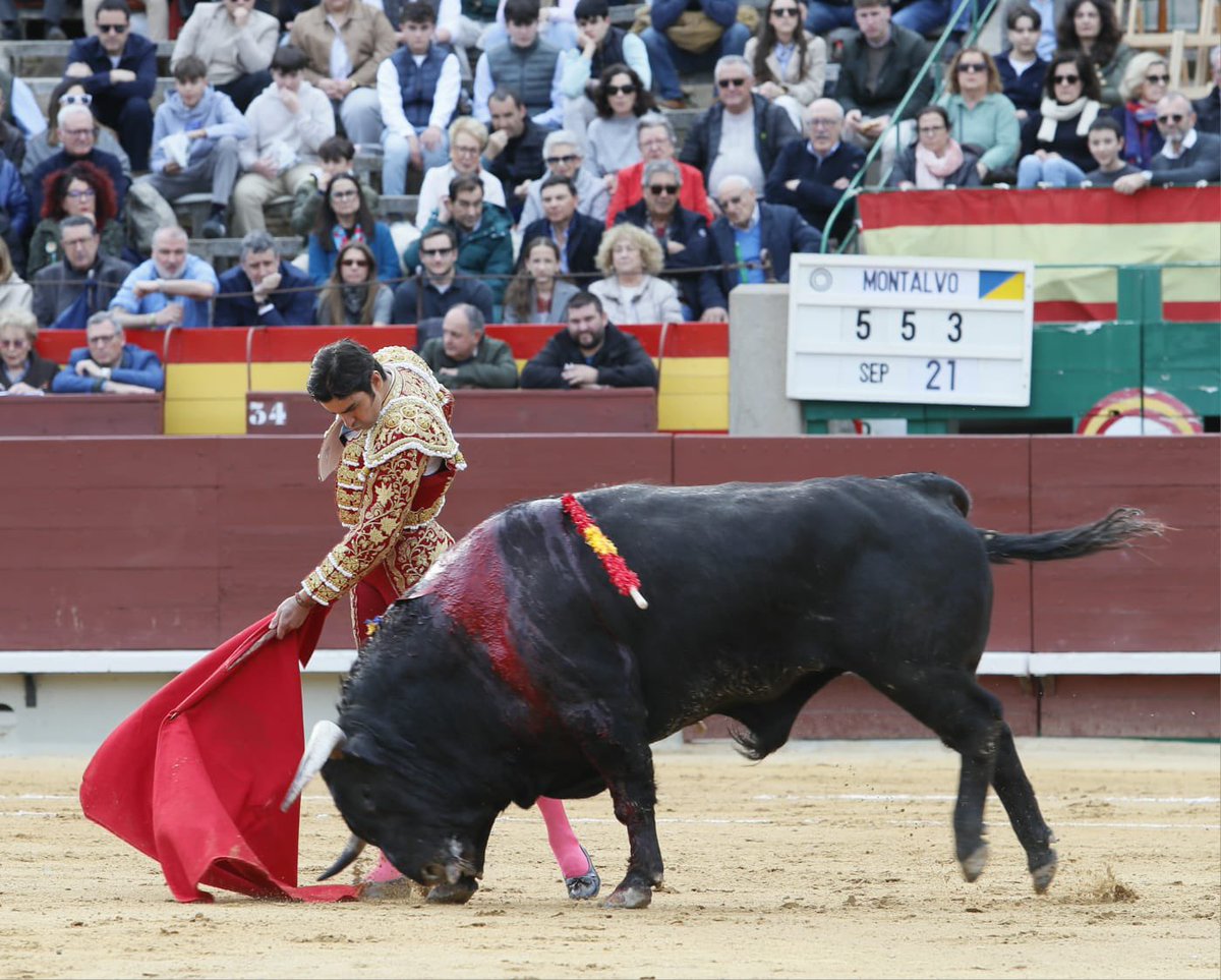 💥 OREJA en el primero de la tarde en 📍Castellón. 

A por el cuarto 🦾

#Perera #Pasion