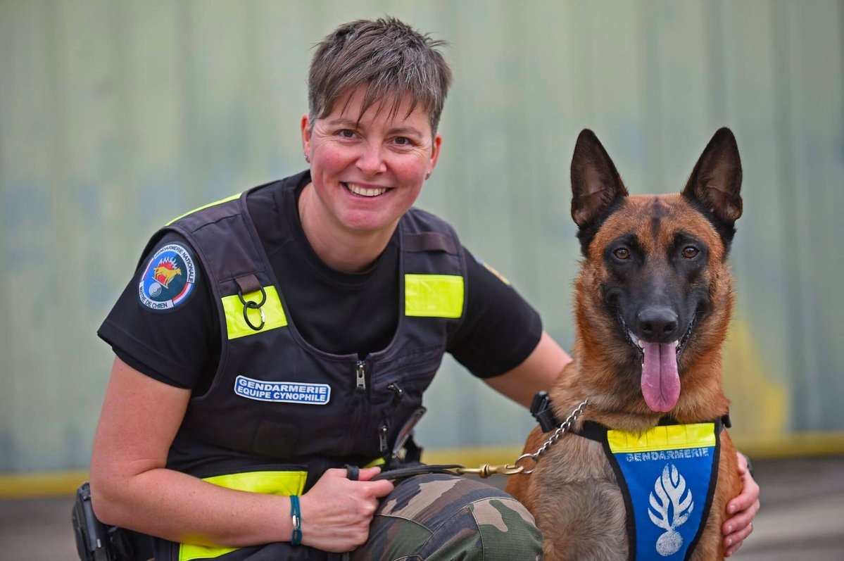 Gendarmerie nationale tweet media