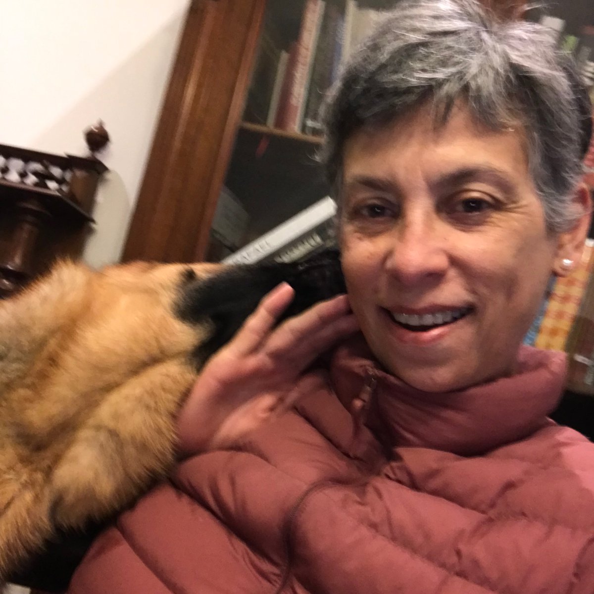 Gisella Orjeda tweet media