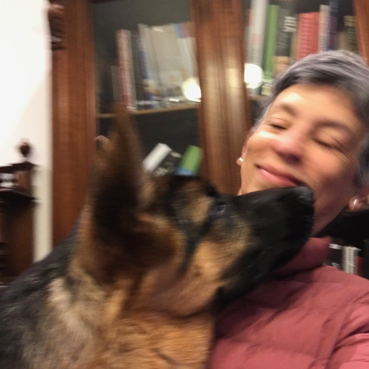 Gisella Orjeda tweet media