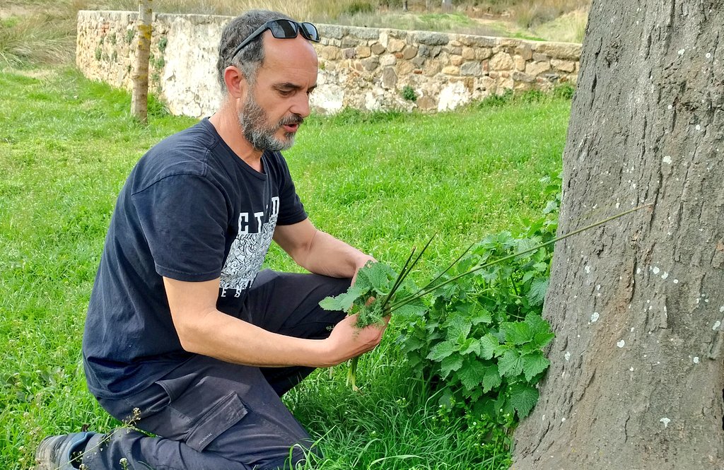 Marc Salgas Reverter tweet media