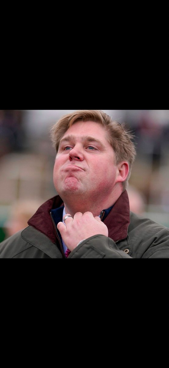 Taylr 🐎 tweet media