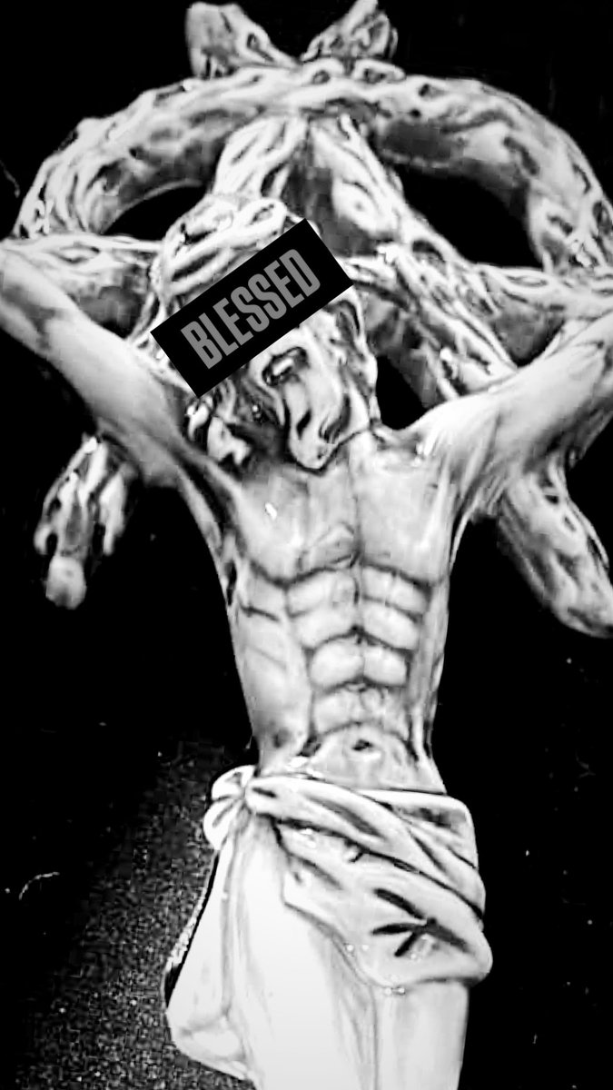 KoBee🐝🍯 tweet media