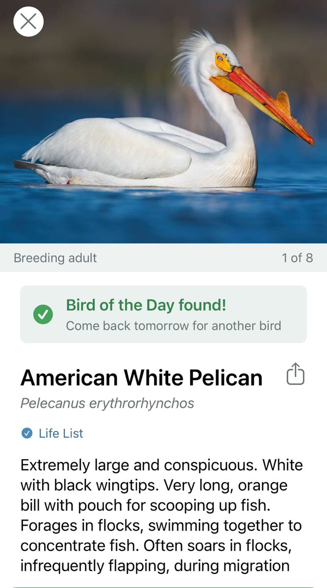 Science Cowboy 🦉❤️‍🔥 tweet media