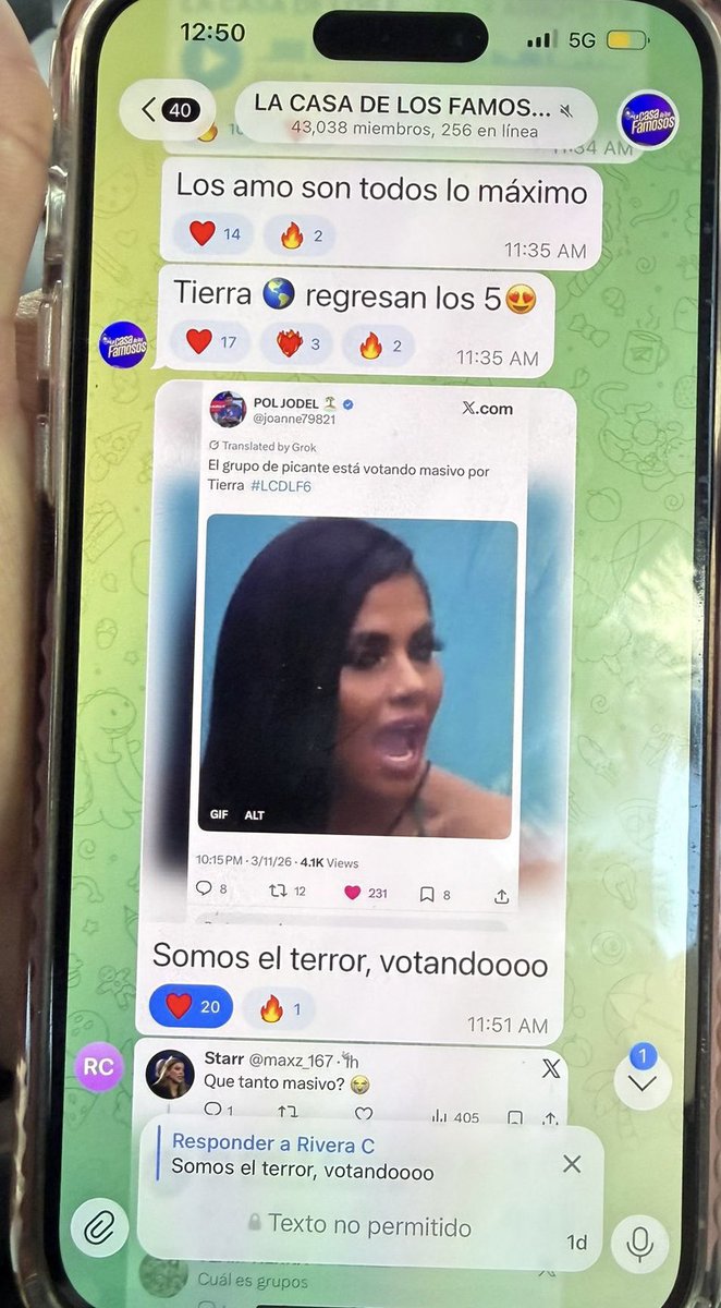 POL JODEL 🏝️🇵🇷 tweet media