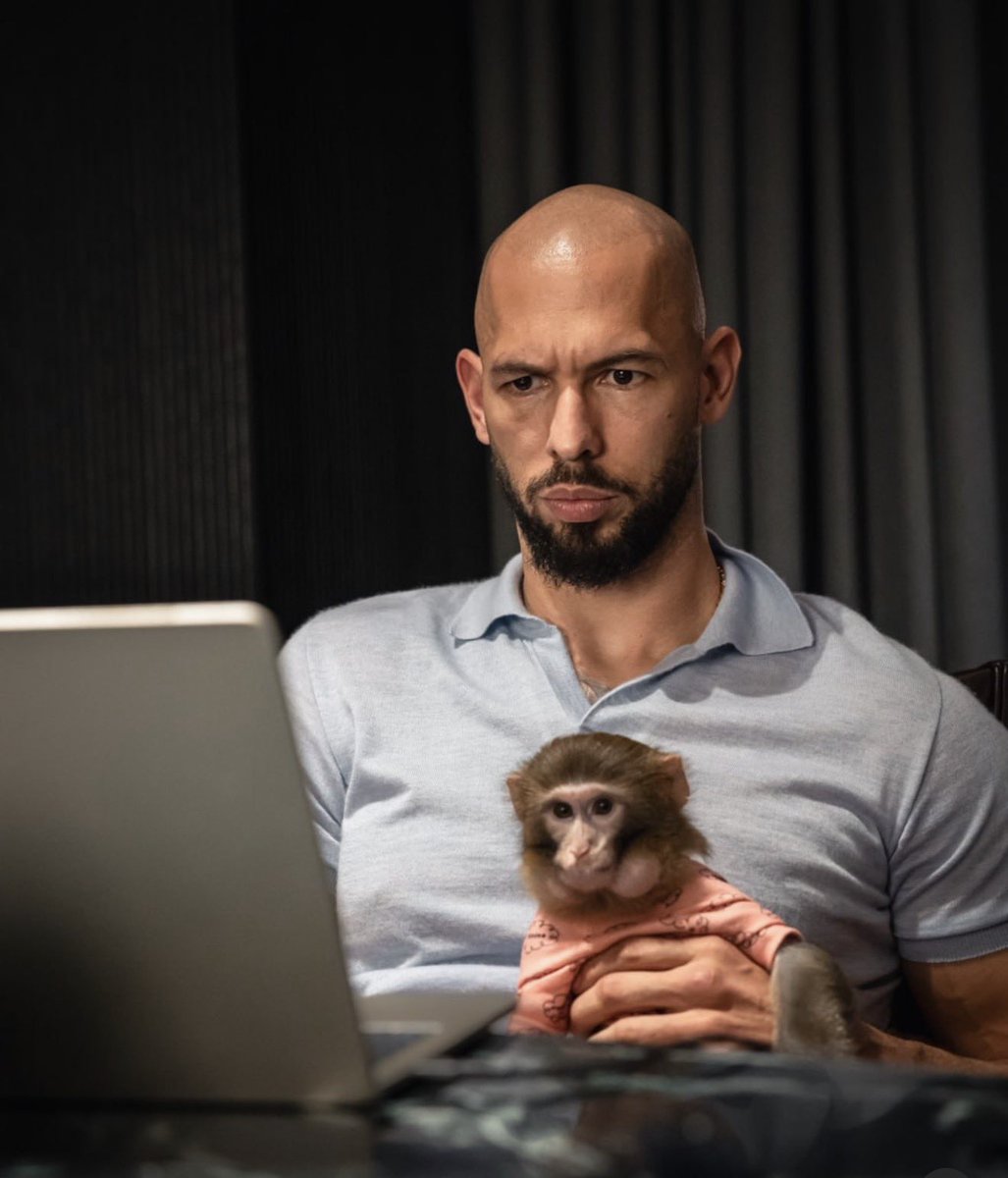 Investor tweet media