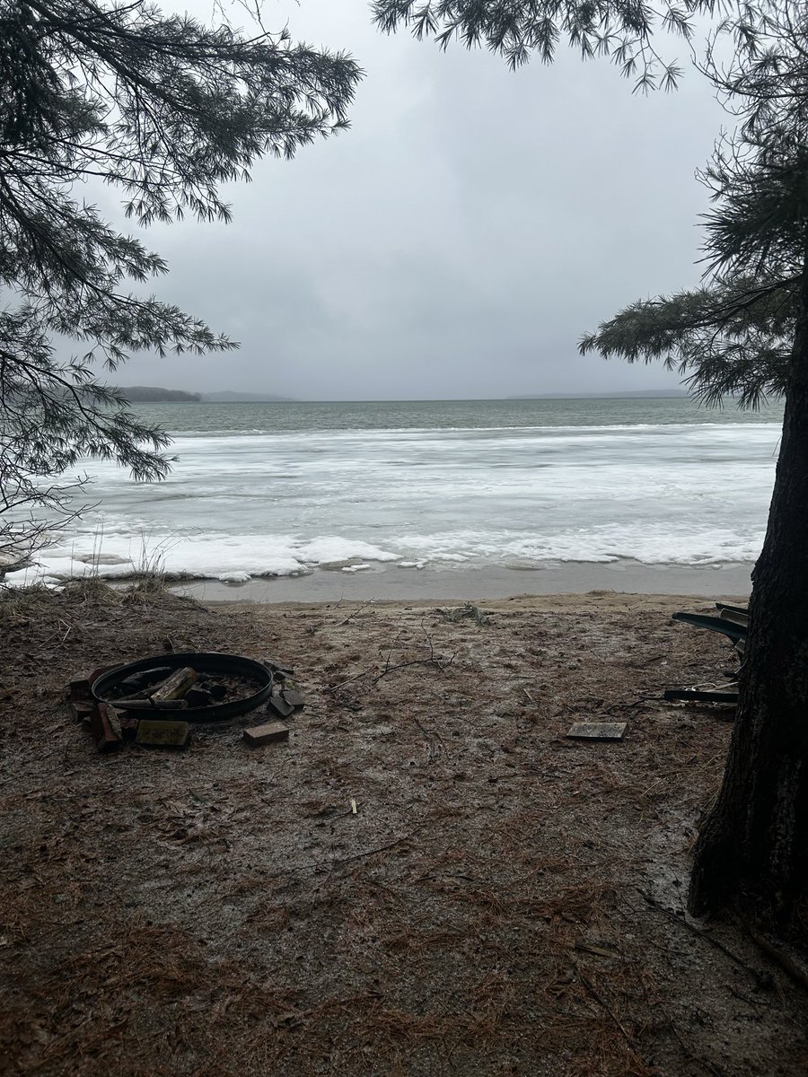 The Bee Hive 🐝 tweet media