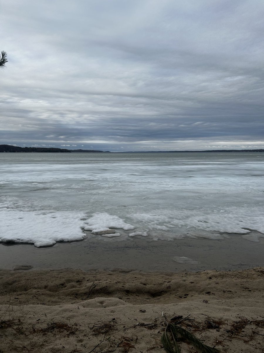 The Bee Hive 🐝 tweet media