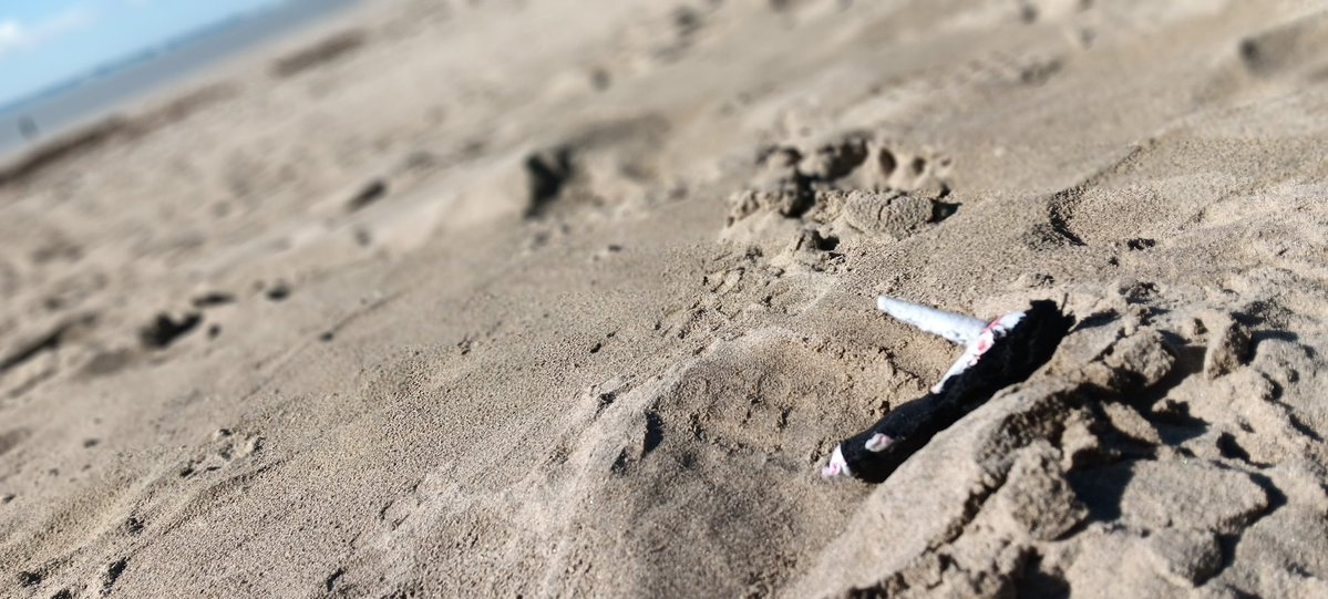 useless worm tweet media