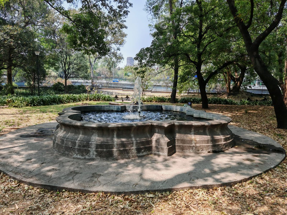 Bosque De Chapultepec tweet media