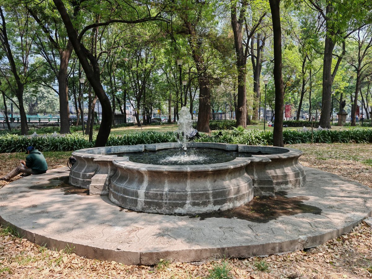 Bosque De Chapultepec tweet media