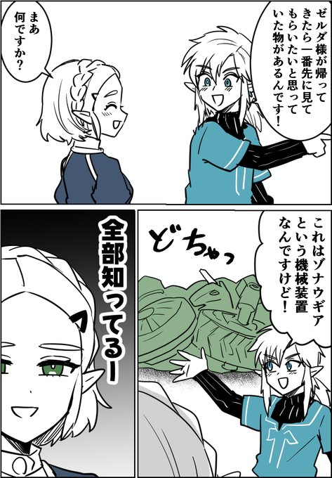 知ってるけど知らないふりするゼルダ様 