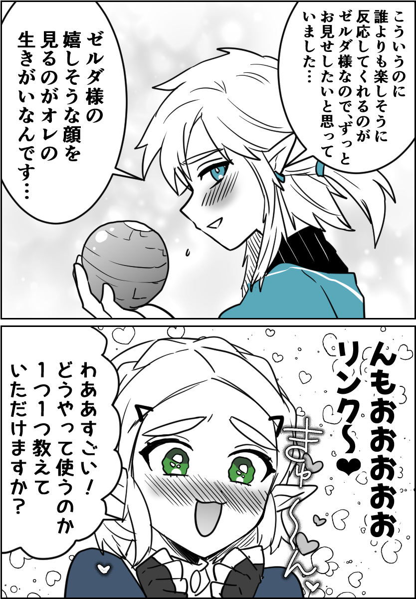 知ってるけど知らないふりするゼルダ様 