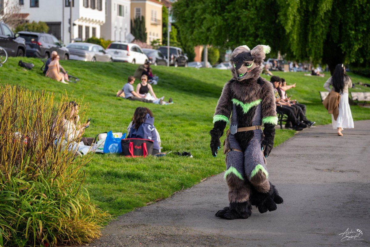 🧀🧀🧀🧀🧀🧀🧀🧀🧀🧀 tweet media